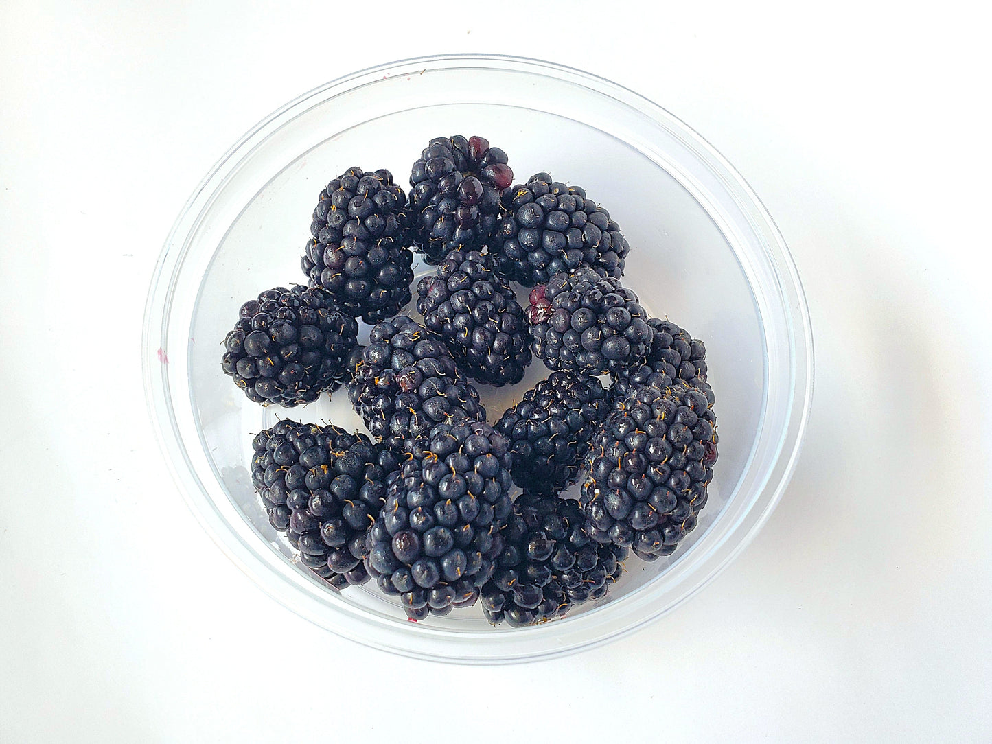 Blackberries