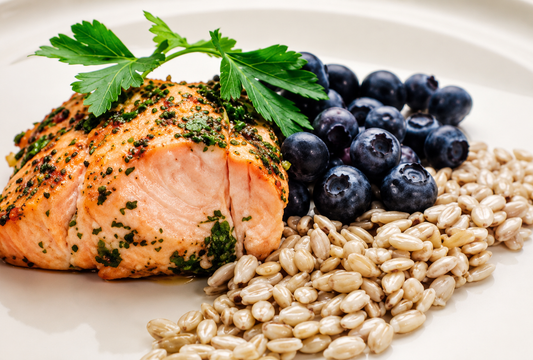 Salmon Snack